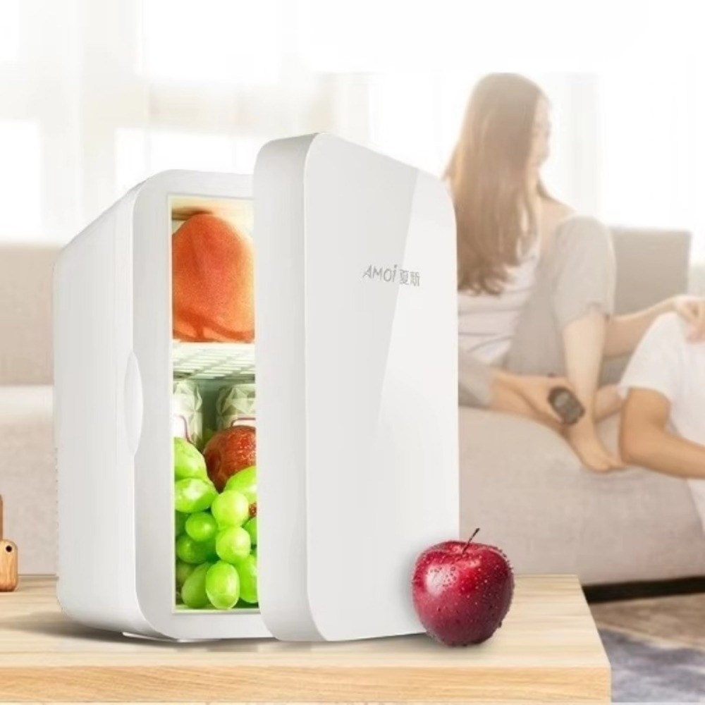 Portable 8L Mini Fridge Househ - Food Warmer Display recension och pris